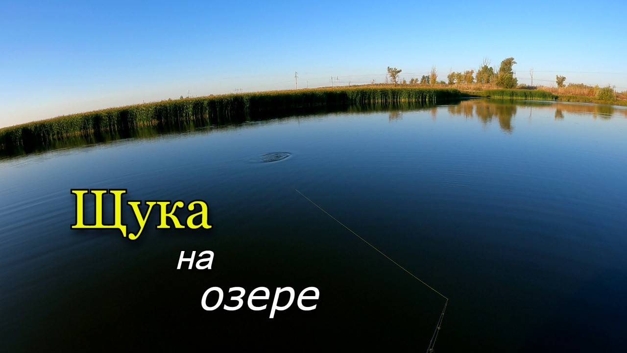 Ловля щуки с лодки на мелком озере