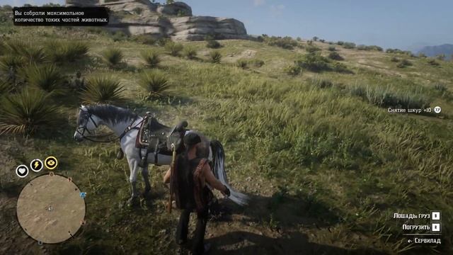 Red Ded Redemption 2 Пробное#2
