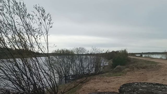 1000050886.mp4