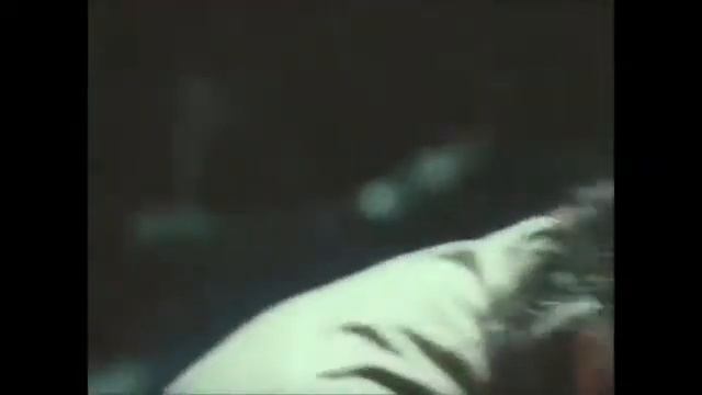 съедобные грибы(прикол из фильма)