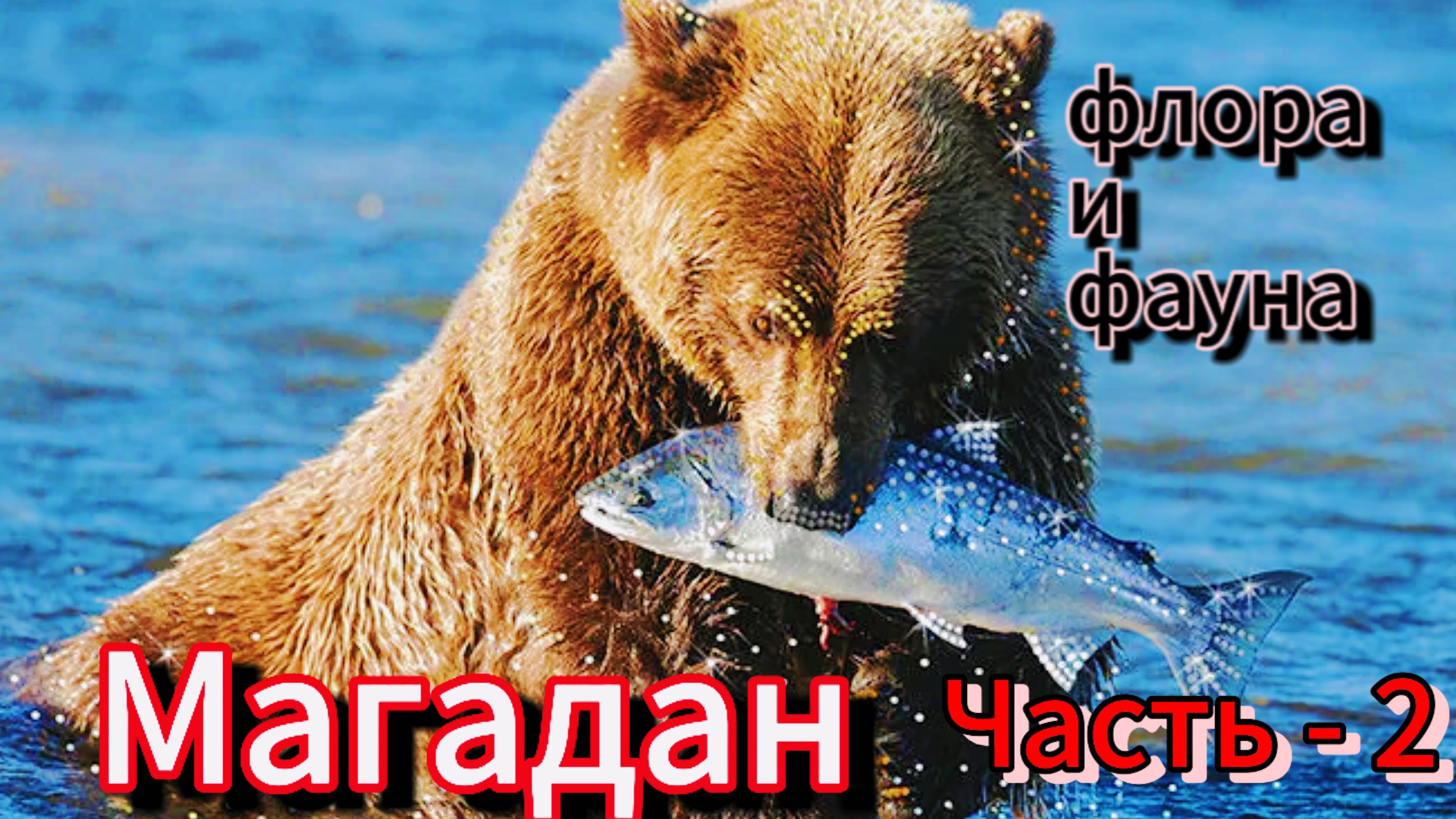 Магадан (флора и фауна, заповедные места) #топыкатегорий