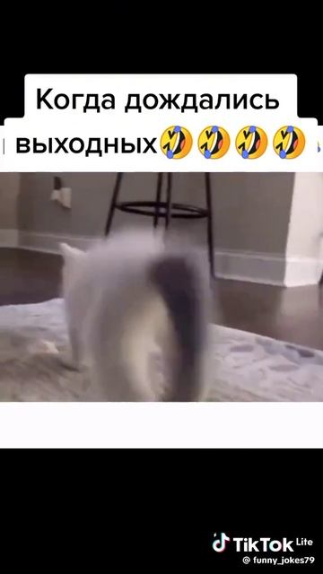 1000004045.mp4