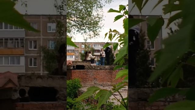 нам что-то больно-то много