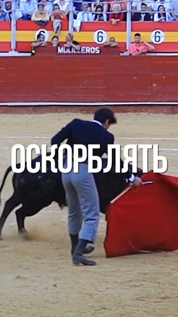 ТАКИЕ ЦЕННОСТИ ТОЧНО НЕ НУЖНЫ! ЧТО ТВОРИТСЯ В ИСПАНИИ #испания #spain #valencia #быки #bull #shorts