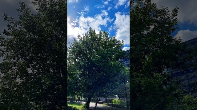 экскурсия  по Москве..часть вторая