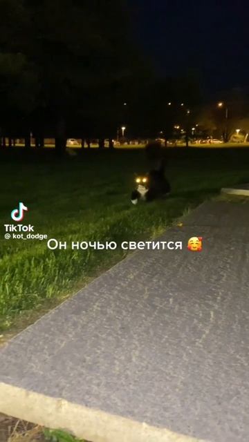 он не бесполезный 🤣