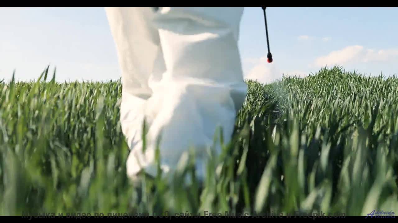 Музыка касается души мягче любого прикосновения - Good Vibe -- Ketsa -- Ascendance