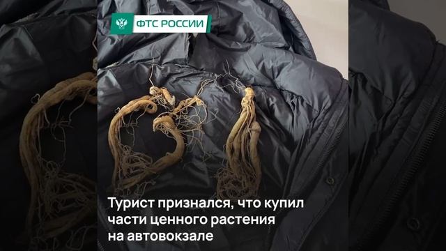 В Уссурийске таможенники раскрыли «небольшой» секрет жилетки туриста