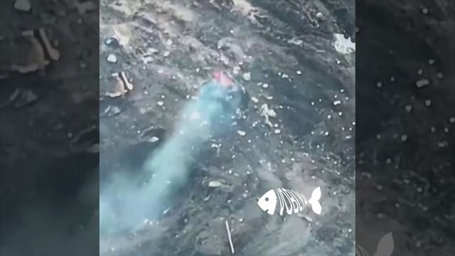 Война будущего уже идет, воздушный дрон и наземный