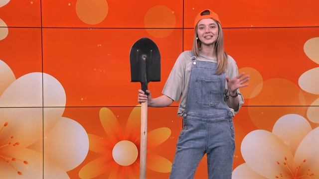 Апельсин. Садовый календарь. 22-05-2025