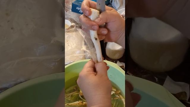Как правильно чистить корень хрена.