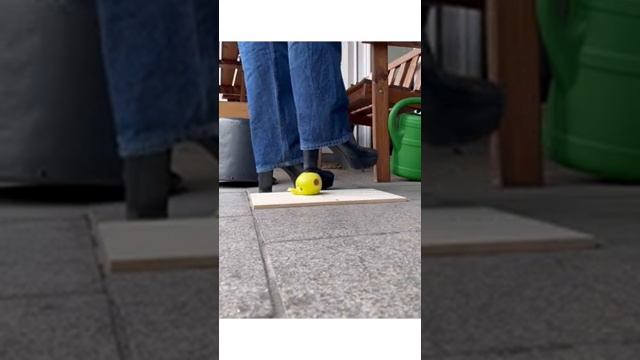 1000002670.mp4