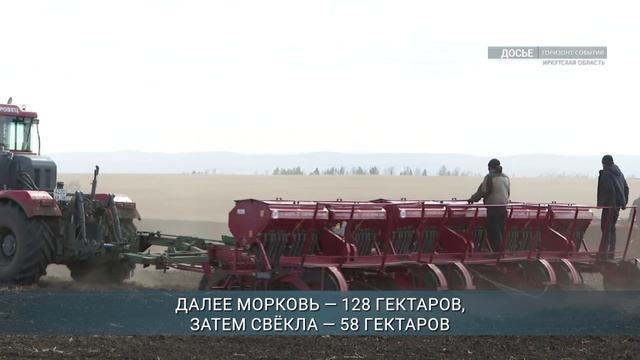 Посевная овощей «борщевого набора» в Приангарье в полтора раза опережает уровень прошлого года