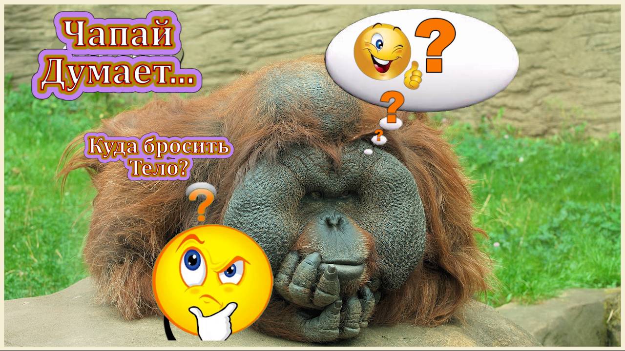 Немного позитива – поехали?