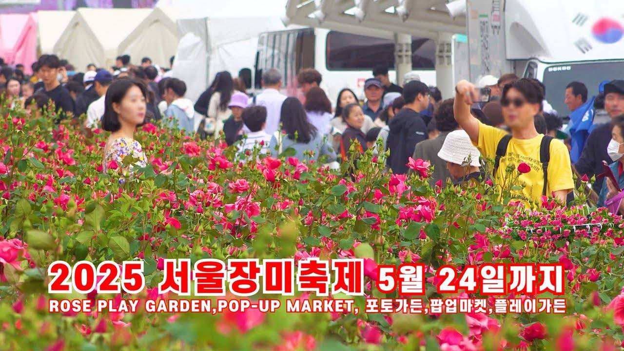 2025 서울장미축제, 팝업마켓, 새빨간 로즈 플레이 가든 구석구석 구경하기, 중랑장미공원, 5월 24일까지, 중랑 서울장미축제, 서울 여행 워커