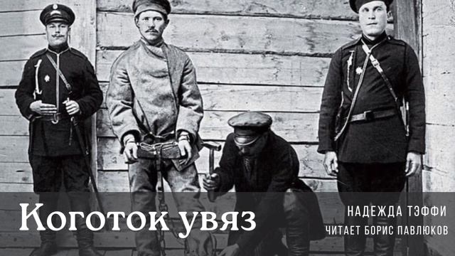 Надежда Тэффи "Коготок увяз"