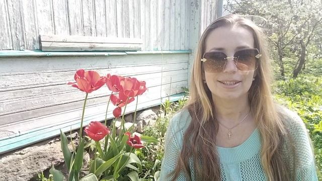 Люблю тюльпаны!