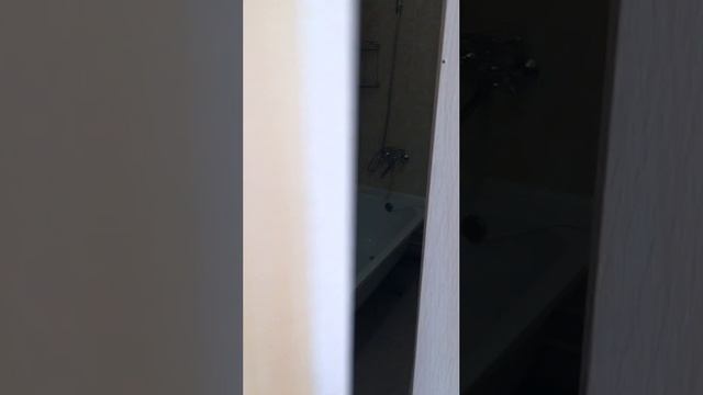 Евродвушка по адресу Академика Постовского 17а
