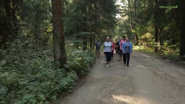 Техника бега для здоровья