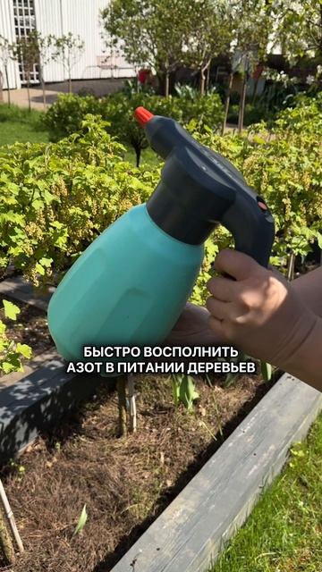 Подкормки плодовых В МАЕ.