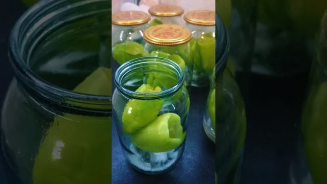 Just tomatoes and bill pepper,  просто помидоры и болгарский перец,