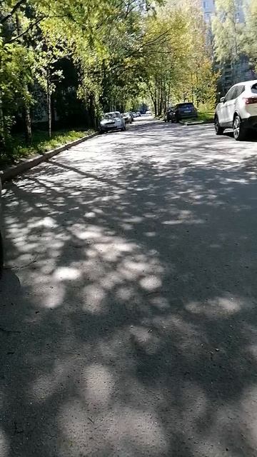 Полезная гулянка