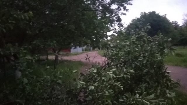21-05-2025 Стихийное бедствие !Ураганный ветер сносил крыши ,деревья и рвал провода !Юг России 🏝️.