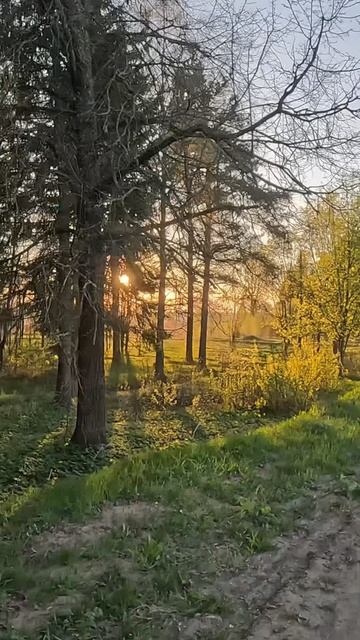 Всем доброго утра и хорошего дня