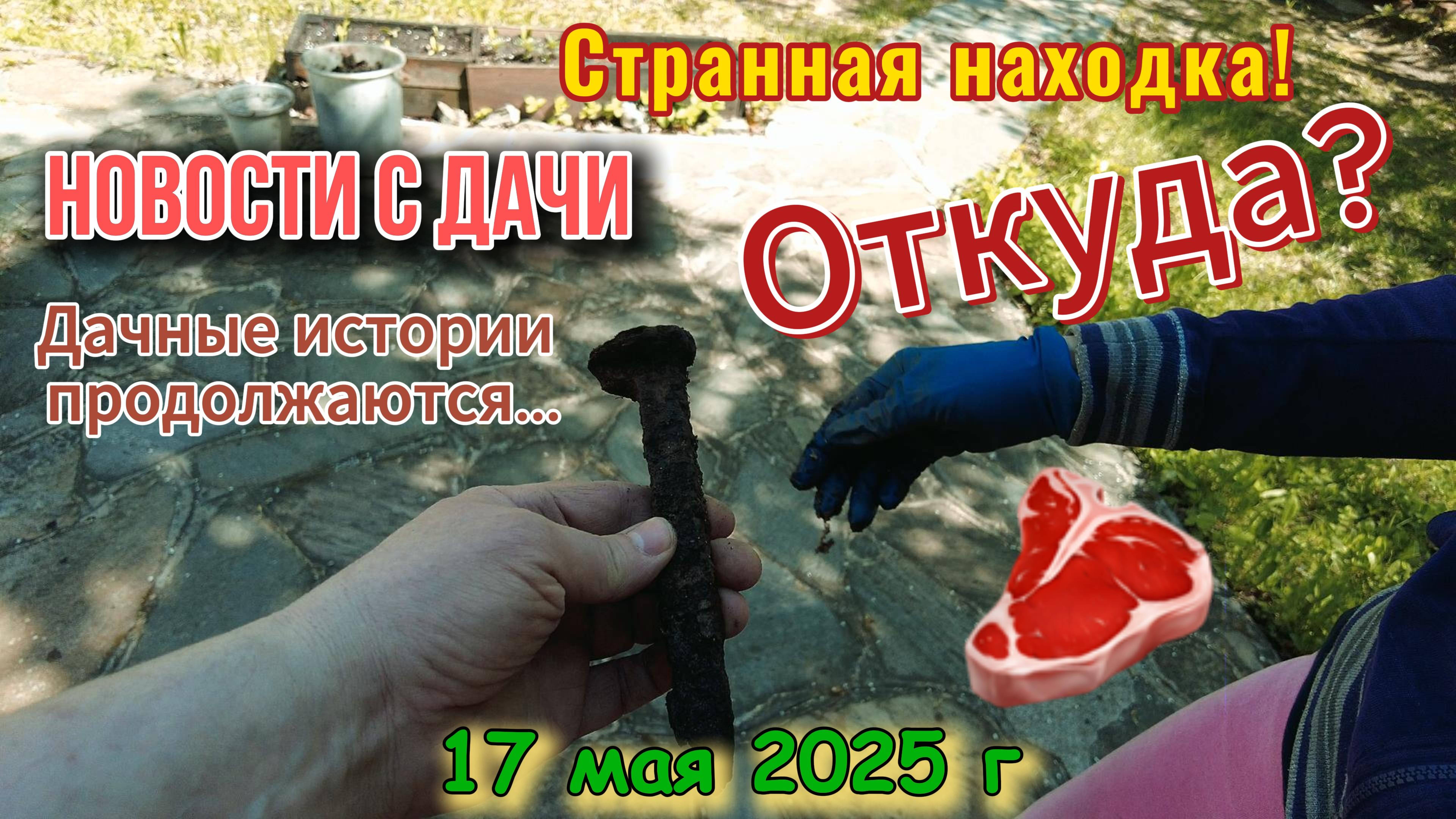Квадратный кованный гвоздь в земле на даче 17 мая 2025 г
