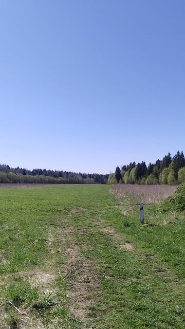 video_20250520_101936