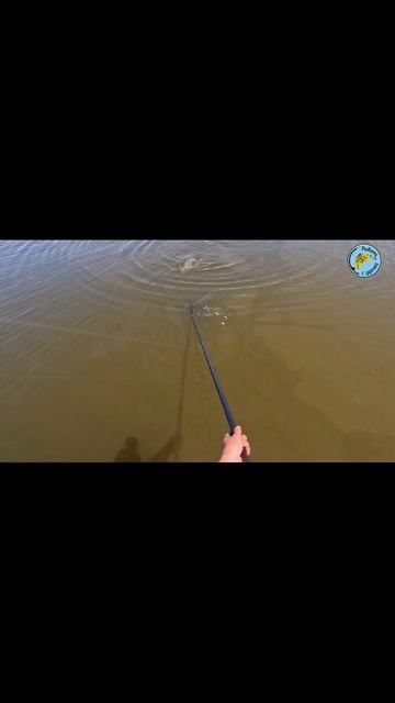 Кубок Носорога 🦏 2025 🎣