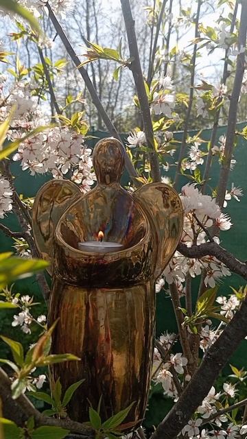 Ритуал снимающий печать одиночества # short