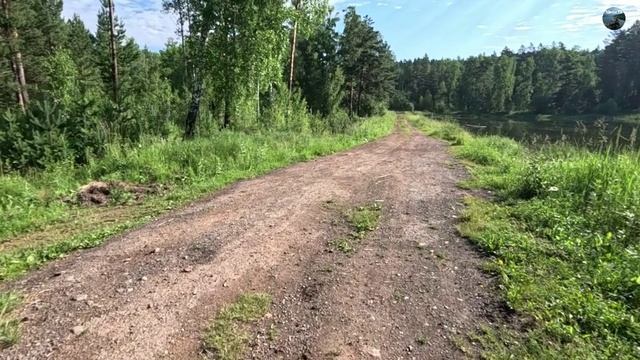Тайга.Долгая дорога домой.Часть 2
