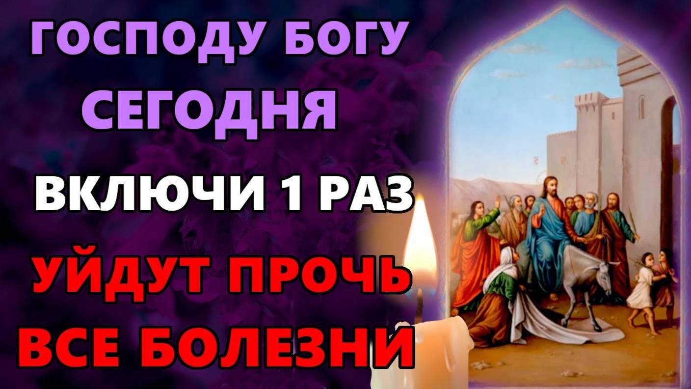 ГОСПОДУ БОГУ ВКЛЮЧИ И УЙДУТ ВСЕ БОЛЕЗНИ! Акафист входу Господню в Иерусалим. Молитва 2025