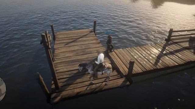 RDR2 Ловля и бой коней