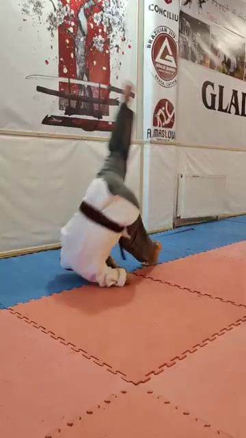 💢Динамика Чой.