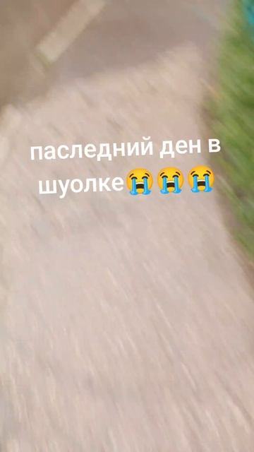 робот Анатолий ест какашки