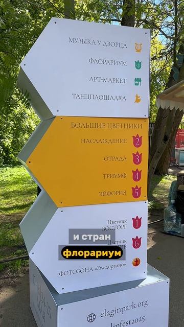 Фестиваль тюльпанов