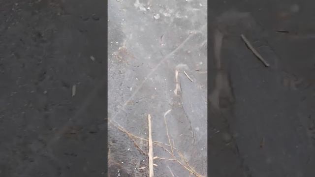 Приколы на речке