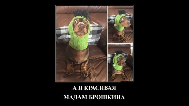 Подборка демотиваторов на 23 08 22 года