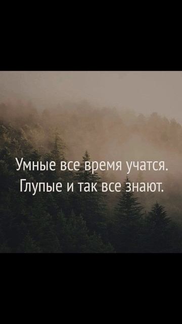 Мысли вслух