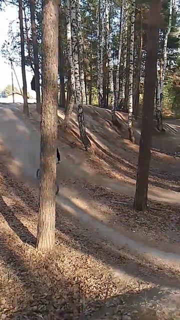 Катание на BMX #рекомендации #bmx #банихоп