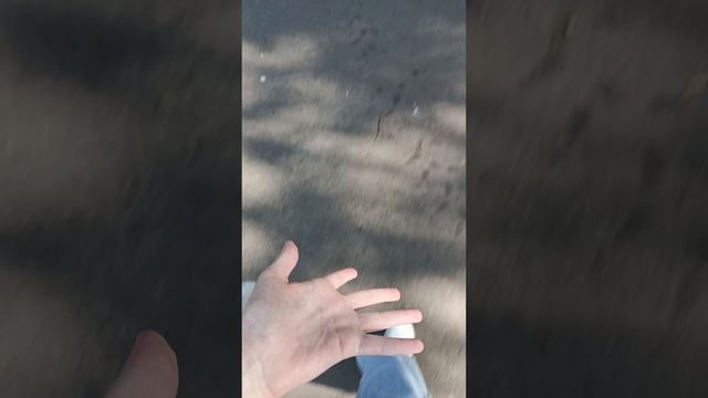 1000024480.mp4
