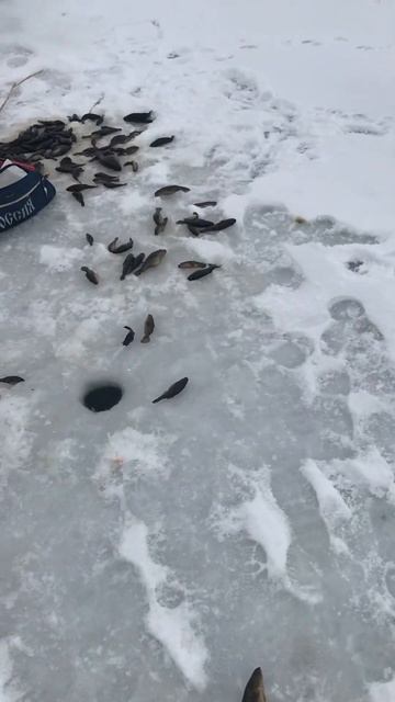 Килограммовые ратаны и много мелочи👌😁 а вы таких ло?