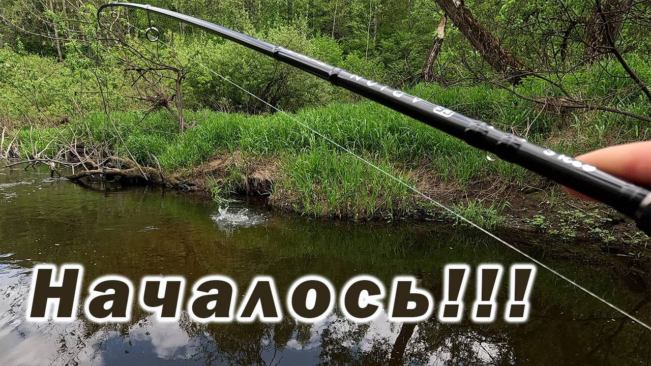 ТАКОЙ КЛЁВ МЫ ЖДАЛИ ВСЮ ВЕСНУ!!! ГОЛАВЛЬ ПРОСНУЛСЯ!!!