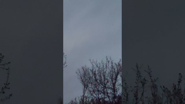 Всенощная.