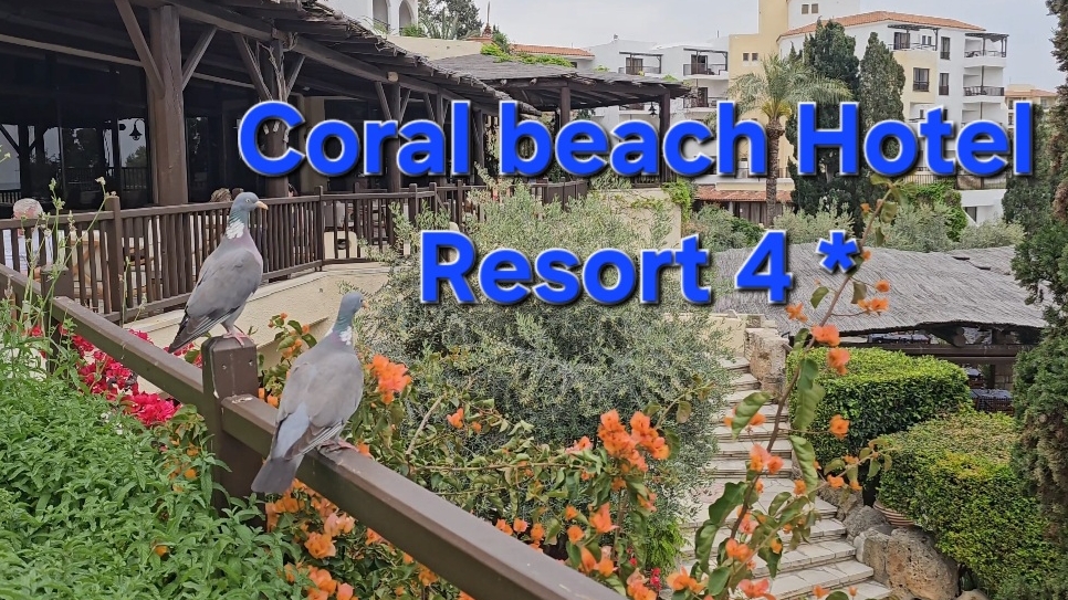 Coral beach Hotel Resort 4 * Пафос - Кипр,полный обзор отеля 2025 #кипр
