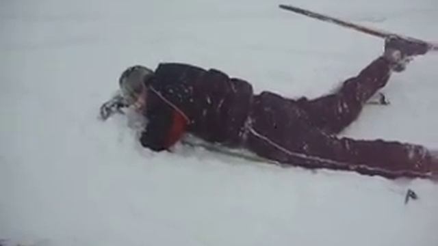 Полёт шмеля