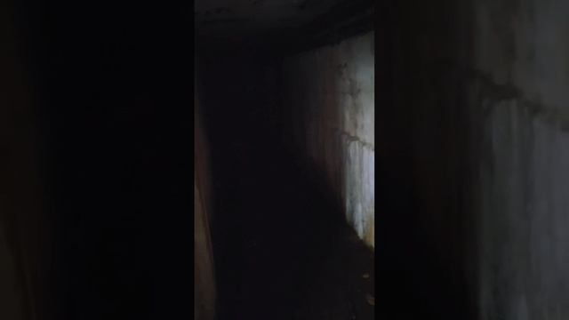 1000028551.mp4