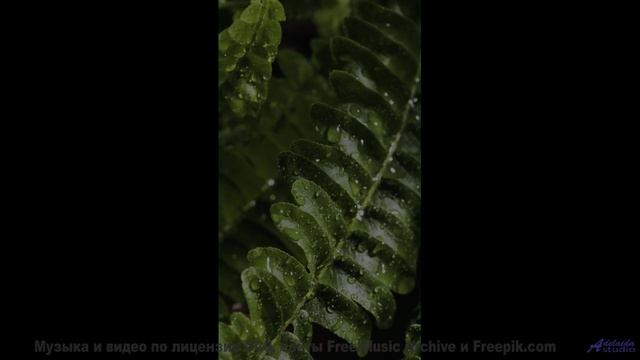 Музыка и виды - от которых не оторваться - I Wont Let You Down -- Derek Clegg -- Old Town Worry